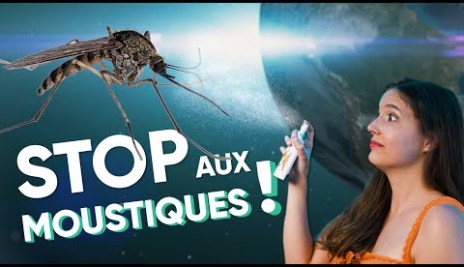 Un MONDE sans MOUSTIQUE ?