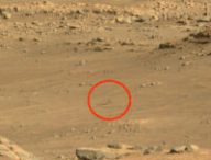 Ingenuity sur Mars le 1er décembre 2021. // Source : NASA/JPL-Caltech/ASU/MSSS (photo recadrée)