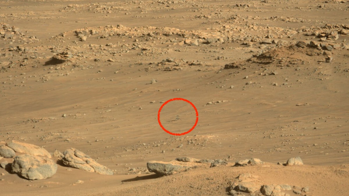 Ingenuity sur Mars le 1er décembre 2021. // Source : NASA/JPL-Caltech/ASU/MSSS (photo recadrée) Ingenuity sur Mars le 1er décembre 2021. // Source : NASA/JPL-Caltech/ASU/MSSS (photo recadrée)