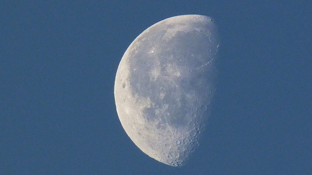 Lune gibbeuse. // Source : Flickr/CC/Jim Champion (photo recadrée) Lune gibbeuse. // Source : Flickr/CC/Jim Champion (photo recadrée)