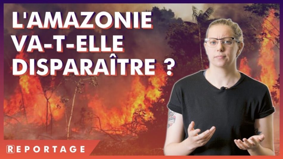 L&rsquo;Amazonie brûle : des conséquences IRREVERSIBLES ?