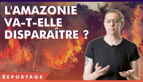 L&rsquo;Amazonie brûle : des conséquences IRREVERSIBLES ?