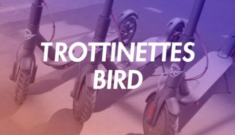 On a testé les nouvelles trottinettes Bird en libre-service