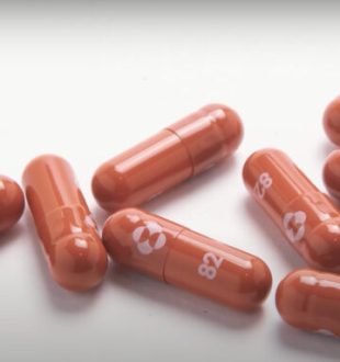 Le monulpiravir de Merck n'a pas été approuvé // Source : YouTube Numerama
