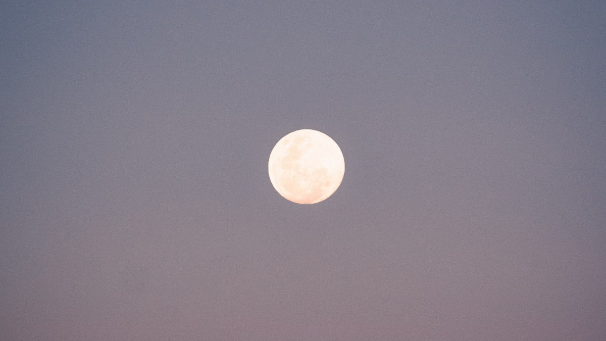Pleine Lune. // Source : Pexels/Tomas Anunziata (photo recadrée) Pleine Lune. // Source : Pexels/Tomas Anunziata (photo recadrée)