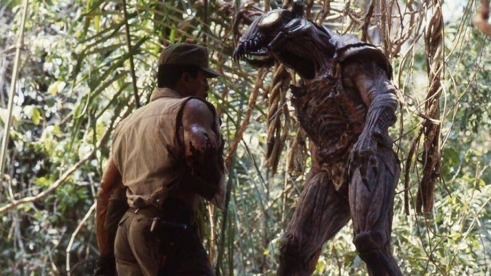 predator-5-jpg predator-5-jpg
