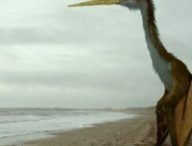 Quetzalcoatlus // Source : Johnson Mortimer / Creative Commons 3.0 Quetzalcoatlus // Source : Johnson Mortimer / Creative Commons 3.0
