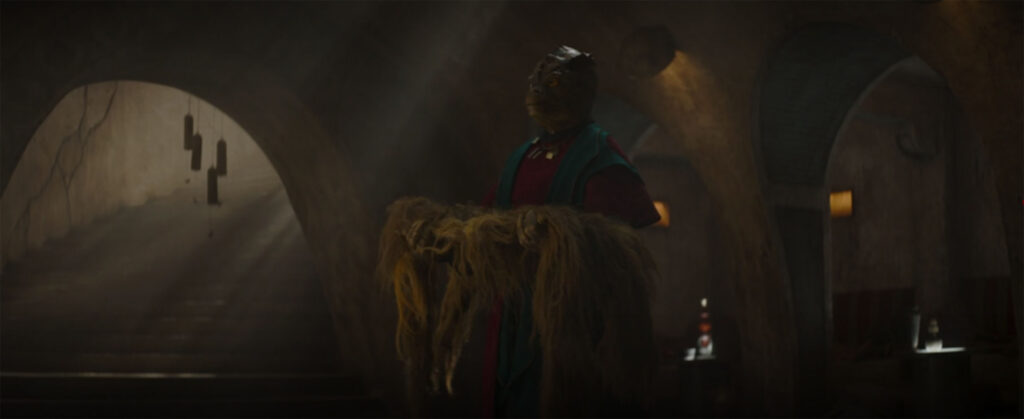 wookie trandoshan