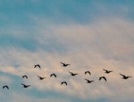 Ciel bleu. // Source : Pexels/Manideep Karne (photo recadrée)