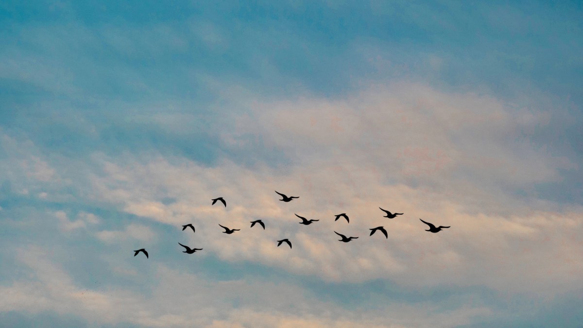 Ciel bleu. // Source : Pexels/Manideep Karne (photo recadrée) Ciel bleu. // Source : Pexels/Manideep Karne (photo recadrée)