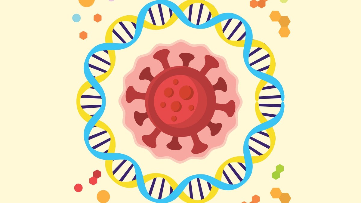 Coronavirus SARS-CoV-2. // Source : Pixabay Coronavirus SARS-CoV-2. // Source : Pixabay