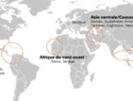 Les pays les plus susceptibles de faire du bitcoin une monnaie légale // Source : Blockchain Partners by KPMG