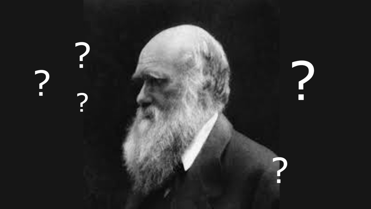 Charles Darwin... interrogatif. // Source : domaine public/modifié Charles Darwin... interrogatif. // Source : domaine public/modifié