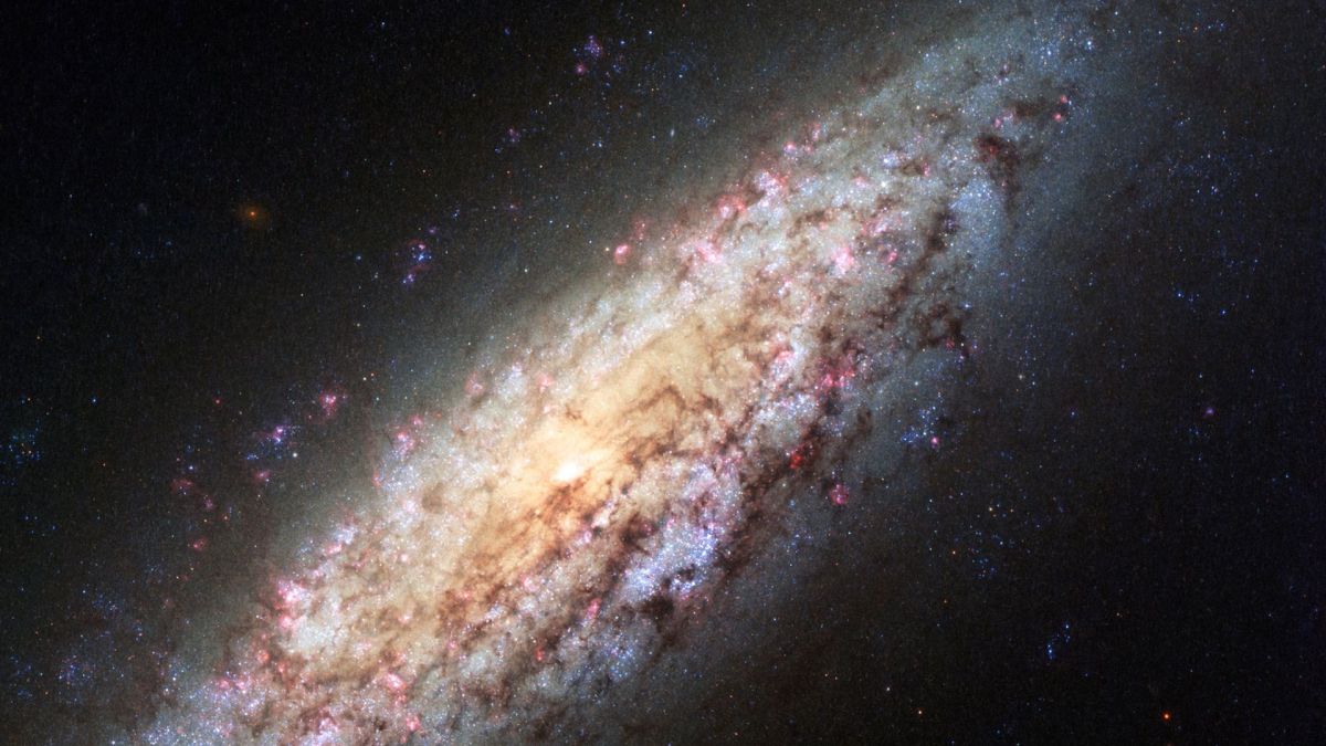 La galaxie NGC 6503. // Source : NASA, ESA, D. Calzetti (University of Massachusetts), H. Ford (Johns Hopkins University), and the Hubble Heritage Team La galaxie NGC 6503. // Source : NASA, ESA, D. Calzetti (University of Massachusetts), H. Ford (Johns Hopkins University), and the Hubble Heritage Team