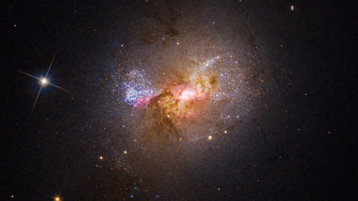 La galaxie Henize 2-10. // Source : NASA, ESA, Zachary Schutte (XGI), Amy Reines (XGI); Image Processing: Alyssa Pagan (STScI) La galaxie Henize 2-10. // Source : NASA, ESA, Zachary Schutte (XGI), Amy Reines (XGI); Image Processing: Alyssa Pagan (STScI)
