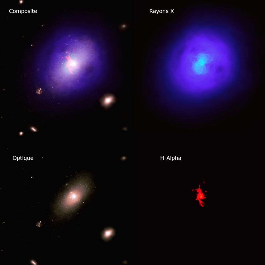 Abell 2597 // Source : Chandra Abell 2597 // Source : Chandra
