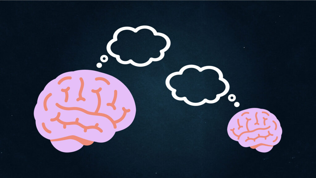 Une relation entre taille du cerveau et intelligence ? // Source : Nino Barbey pour Numerama Une relation entre taille du cerveau et intelligence ? // Source : Nino Barbey pour Numerama