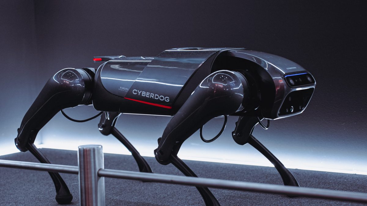 Le Xiaomi CyberDog. // Source : Louise Audry pour Numerama Le Xiaomi CyberDog. // Source : Louise Audry pour Numerama