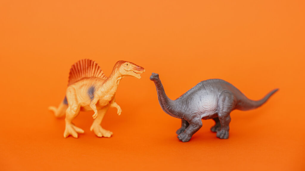Roarrr ! // Source : Pexels/Cup of Couple (photo recadrée) Roarrr ! // Source : Pexels/Cup of Couple (photo recadrée)