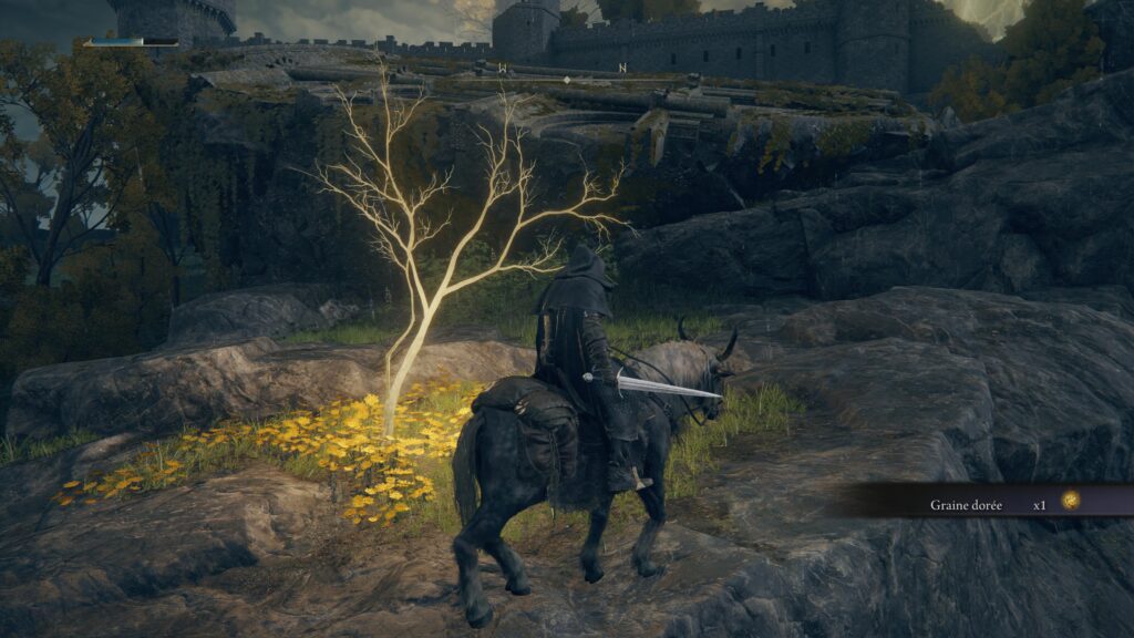 Elden Ring // Source : Capture PS5 Elden Ring // Source : Capture PS5