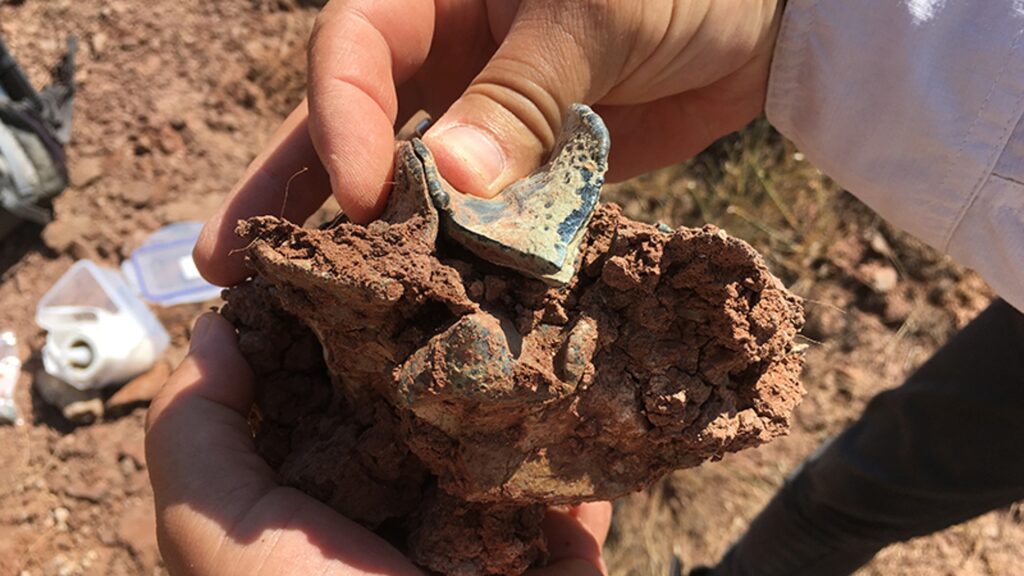 Fossile de Brontotheriidae, découvert dans un dépôt qui appartenait autrefois à ce continent oublié. Il s'agit ici d'un animal asiatique, ce qui montre le mouvement des espèces vers l'ouest. // Source : Alexis Licht & Grégoire Métais / CNRS Fossile de Brontotheriidae, découvert dans un dépôt qui appartenait autrefois à ce continent oublié. Il s'agit ici d'un animal asiatique, ce qui montre le mouvement des espèces vers l'ouest. // Source : Alexis Licht & Grégoire Métais / CNRS