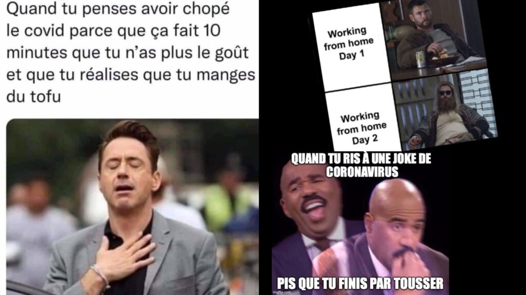 Quelques exemples de mèmes covid. Quelques exemples de mèmes covid.