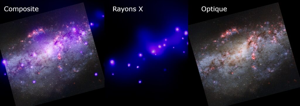 NGC 4490 // Source : Chandra NGC 4490 // Source : Chandra