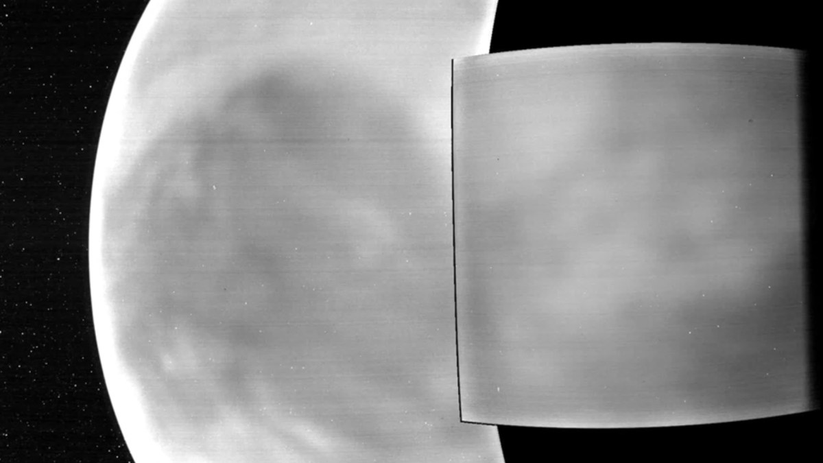 Vénus vue par la sonde Parker. // Source : NASA/APL/NRL Vénus vue par la sonde Parker. // Source : NASA/APL/NRL