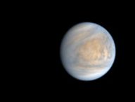 Vénus en 2019. // Source : JAXA/ISAS/DARTS/Kevin M. Gill Vénus en 2019. // Source : JAXA/ISAS/DARTS/Kevin M. Gill