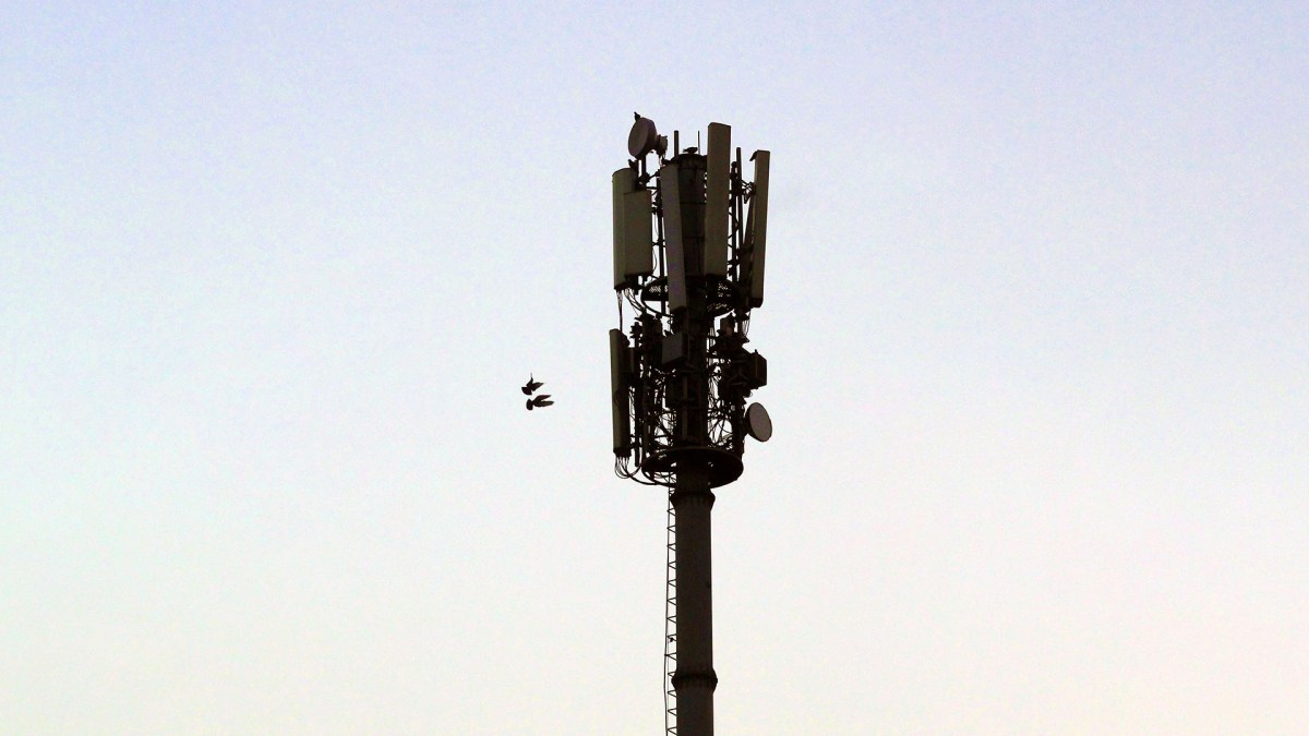 Une antenne-relais. // Source : Saurabh Mishra Une antenne-relais. // Source : Saurabh Mishra