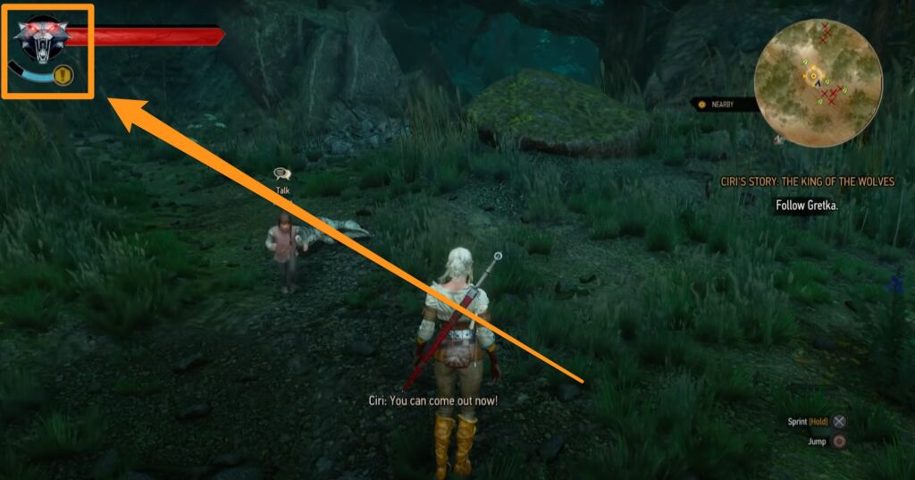 Le médaillon chat dans The Witcher 3 // Source : Capture YouTube Le médaillon chat dans The Witcher 3 // Source : Capture YouTube