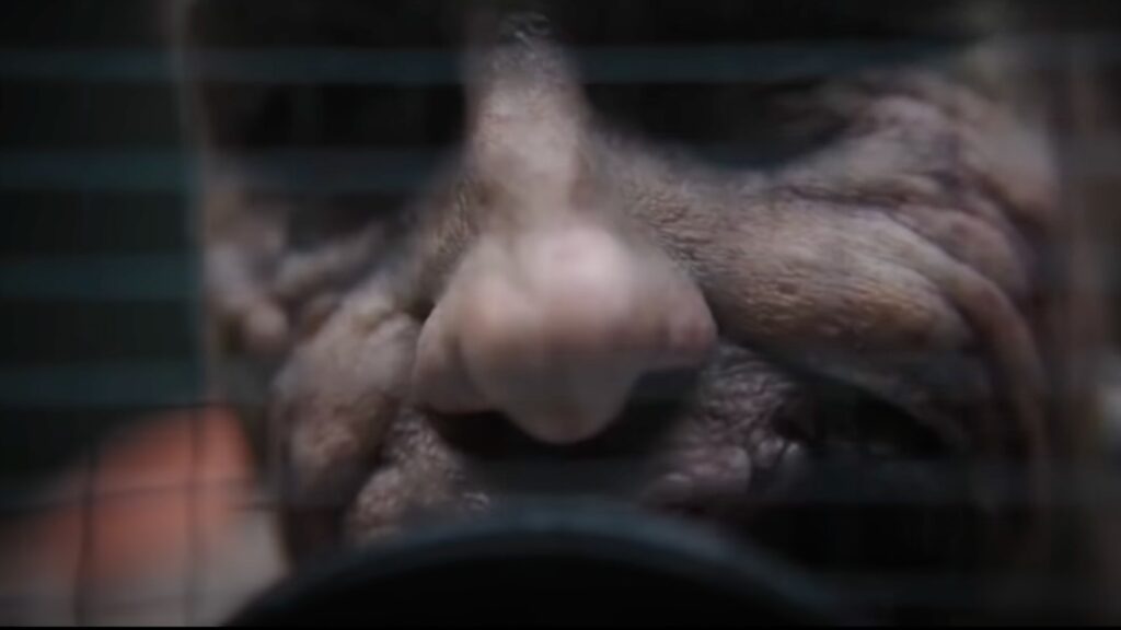 Le Joker dans The Batman // Source : Capture YouTube Le Joker dans The Batman // Source : Capture YouTube