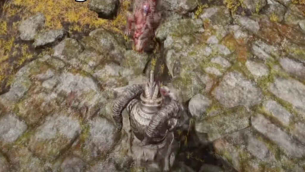 Les chiens dans Elden Ring // Source : Capture YouTube Les chiens dans Elden Ring // Source : Capture YouTube