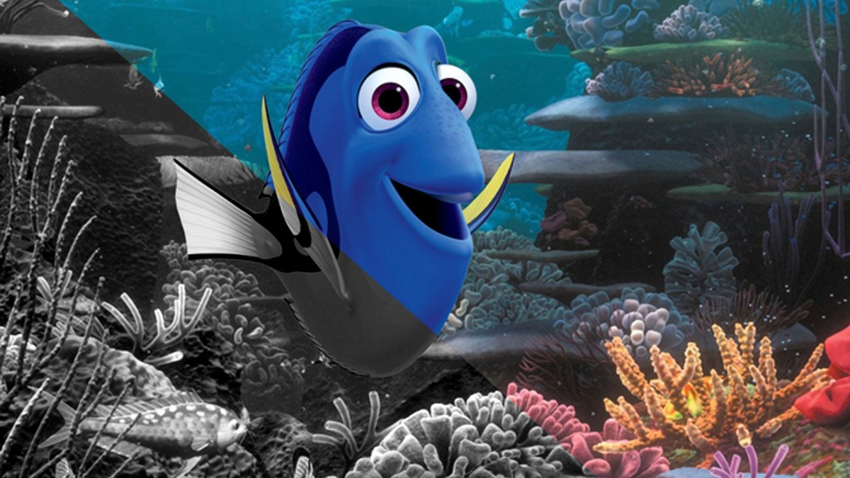 Source : Le Monde de Dory Source : Le Monde de Dory