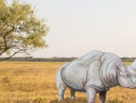Elasmotherium. // Source : Montage Numerama avec photo Unsplash