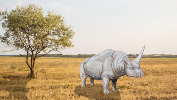 Elasmotherium. // Source : Montage Numerama avec photo Unsplash