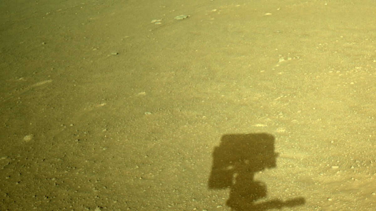 Ombre de Perseverance sur Mars. // Source : NASA/JPL-Caltech (image recadrée) Ombre de Perseverance sur Mars. // Source : NASA/JPL-Caltech (image recadrée)