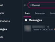 Un message recherché dans Twitter. // Source : Capture d'écran Twitter