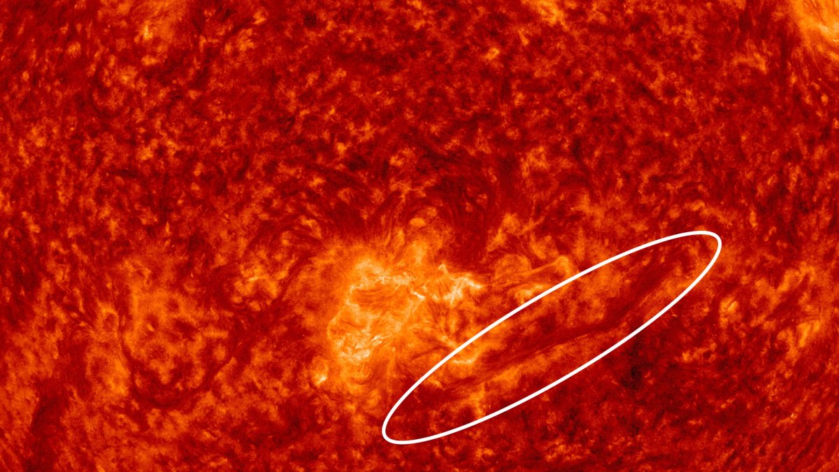 Zoom sur le Soleil le 3 avril 2022. // Source : SDO (image recadrée et annotée) Zoom sur le Soleil le 3 avril 2022. // Source : SDO (image recadrée et annotée)