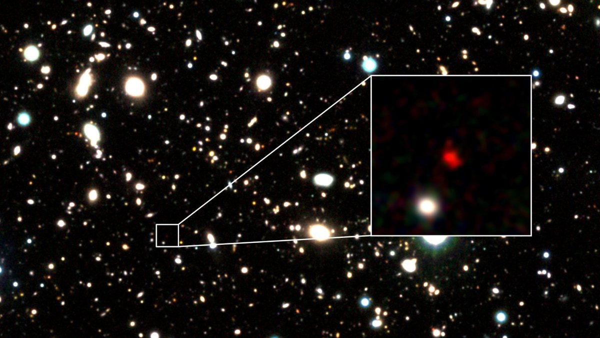 Zoom sur HD1. // Source : Harikane et al. (image recadrée) Zoom sur HD1. // Source : Harikane et al. (image recadrée)