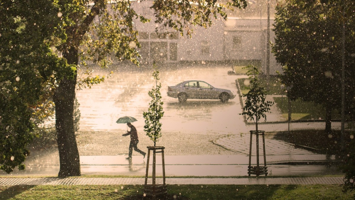 Pluie // Source : Pixabay Pluie // Source : Pixabay