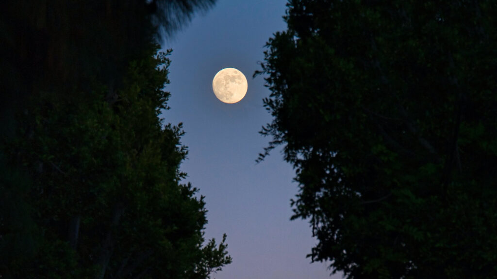 Pleine Lune. // Source : Unsplash/Venti Views (photo recadrée) Pleine Lune. // Source : Unsplash/Venti Views (photo recadrée)