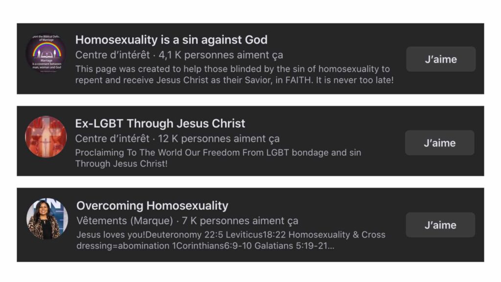 Plusieurs pages ouvertement homophobes, comptant chacune plusieurs milliers d'abonnés // Source : Capture d'écran Numerama Plusieurs pages ouvertement homophobes, comptant chacune plusieurs milliers d'abonnés // Source : Capture d'écran Numerama