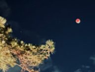 L'éclipse vue depuis Fayetteville. // Source : Flickr/CC/jalexartis Photography (photo recadrée)