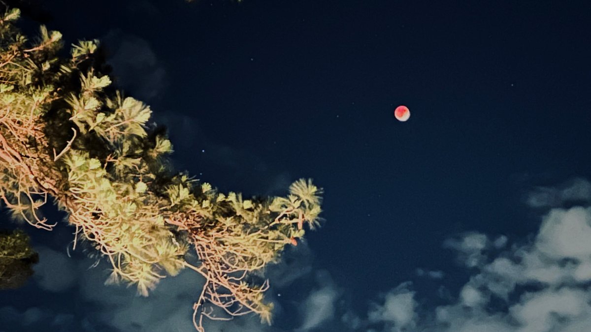 L'éclipse vue depuis Fayetteville. // Source : Flickr/CC/jalexartis Photography (photo recadrée) L'éclipse vue depuis Fayetteville. // Source : Flickr/CC/jalexartis Photography (photo recadrée)