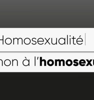 Sur Facebook, de nombreux groupes et pages partagent des propos ouvertement homophobes // Source : Nino Barbey pour Numerama Sur Facebook, de nombreux groupes et pages partagent des propos ouvertement homophobes // Source : Nino Barbey pour Numerama