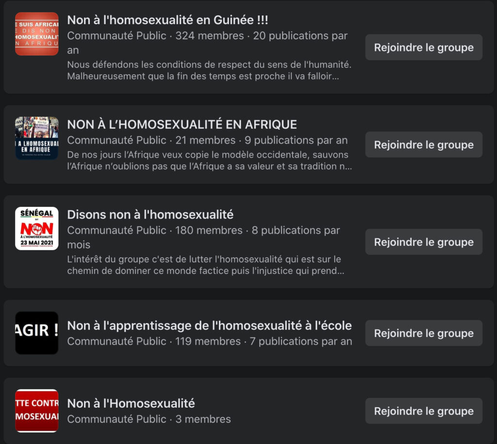 De très nombreux groupes homophobes existent sur Facebook // Source : Capture d'écran Numerama De très nombreux groupes homophobes existent sur Facebook // Source : Capture d'écran Numerama