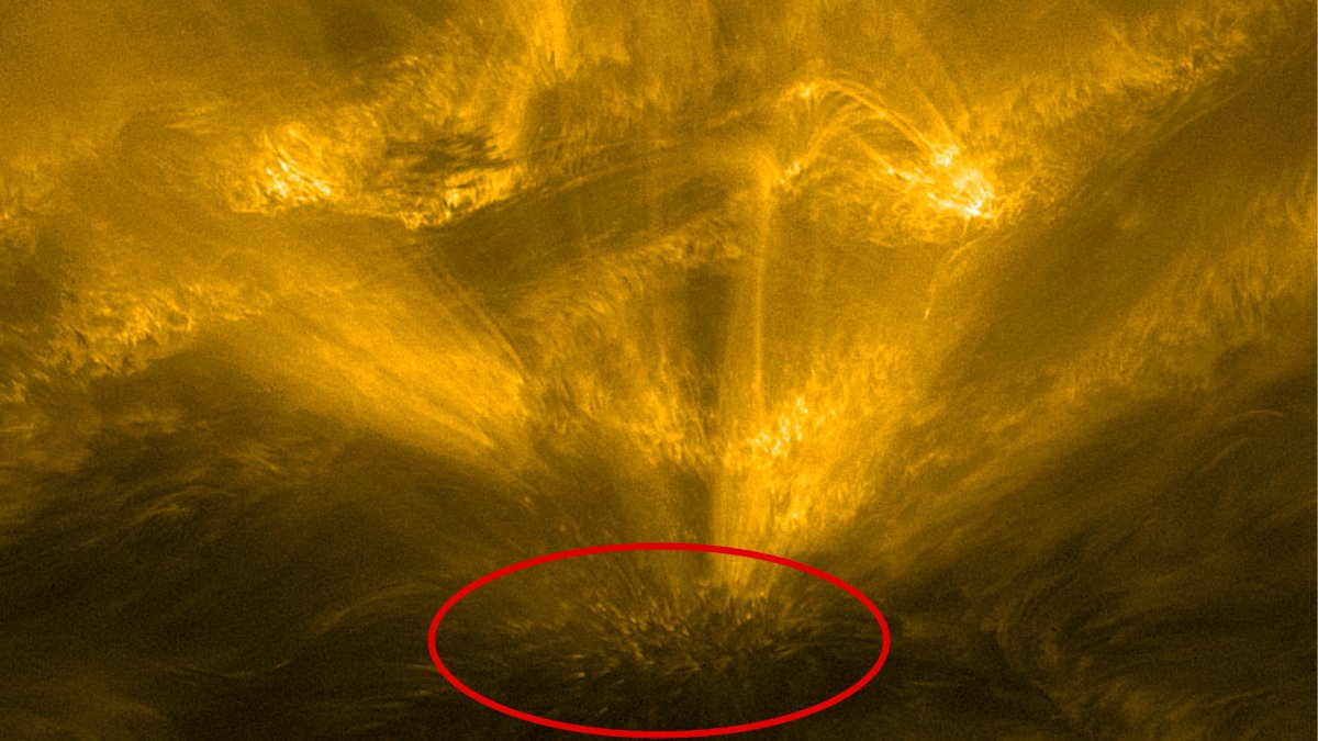 Le « hérisson solaire ». // Source : ESA & NASA/Solar Orbiter/EUI Team (photo recadrée et annotée) Le « hérisson solaire ». // Source : ESA & NASA/Solar Orbiter/EUI Team (photo recadrée et annotée)