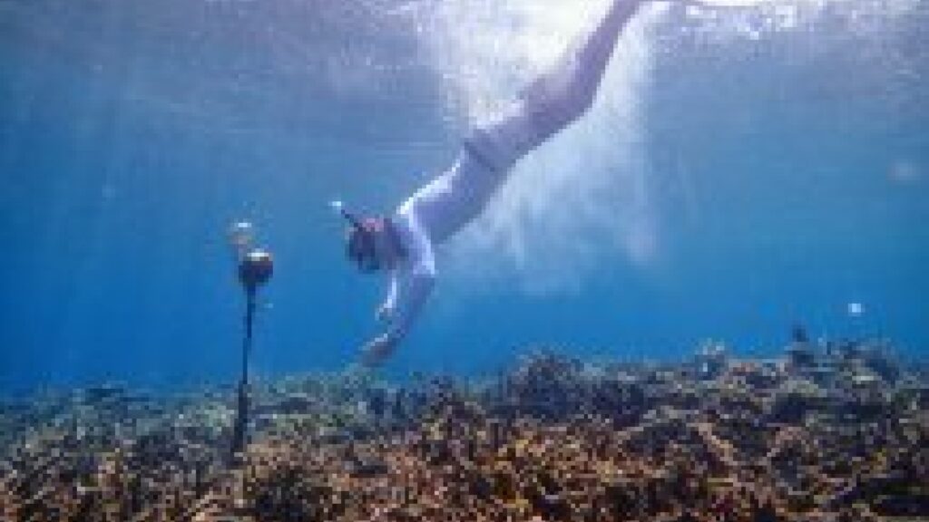 Un biologiste déployant un hydrophone à Sulawesi, en Indonésie, dans un récif. // Source : Tim Lamont, University of Exeter Un biologiste déployant un hydrophone à Sulawesi, en Indonésie, dans un récif. // Source : Tim Lamont, University of Exeter