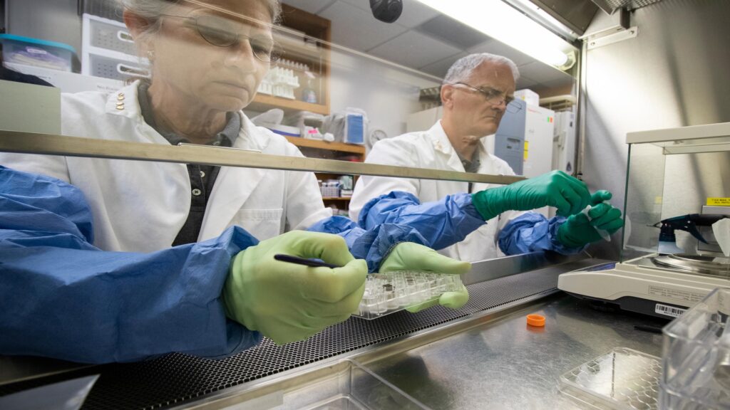 Anna-Lisa Paul et Robert Ferl dans leur laboratoire Anna-Lisa Paul et Robert Ferl dans leur laboratoire